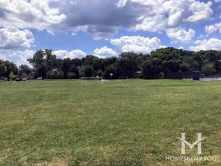 Briarcliff Woods Lake and Park in Oswego, IL