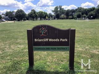 Photos of Briarcliff Woods Lake and Park in Oswego, IL