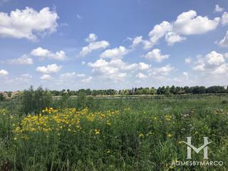 Photos of Farmington Lakes Park in Oswego, IL
