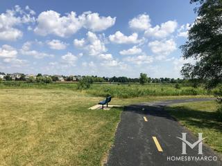 Farmington Lakes Park in Oswego, IL