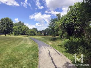 Waubonsie Wetland in Oswego, IL