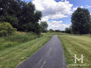 Waubonsie Wetland in Oswego, IL