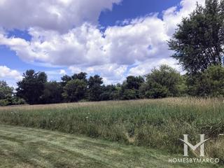 Waubonsie Wetland in Oswego, IL