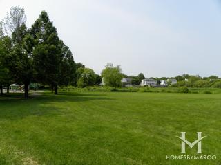 Braeburn Marsh Forest Preserve in Batavia, IL
