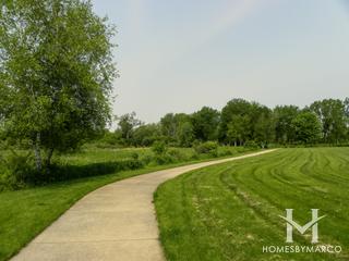 Braeburn Marsh Forest Preserve in Batavia, IL