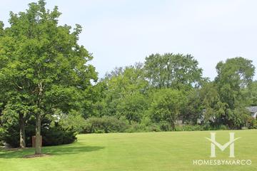 Chestnut Park in Palatine, IL