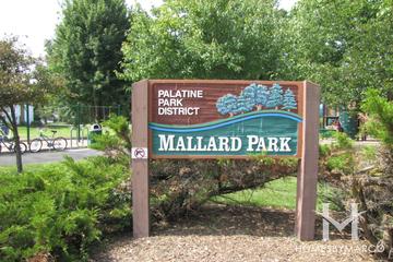 Photos of Mallard Park in Palatine, IL
