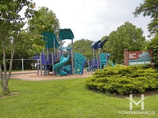 Cherrywood Park in Palatine, IL