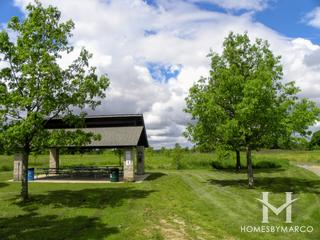 Nelson Lake Marsh Nature Preserve in Batavia, IL