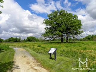Nelson Lake Marsh Nature Preserve in Batavia, IL