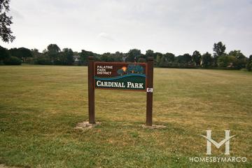 Photos of Cardinal Park in Palatine, IL