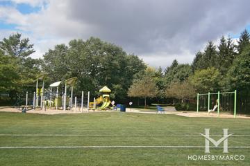 Celtic Park in Palatine, IL