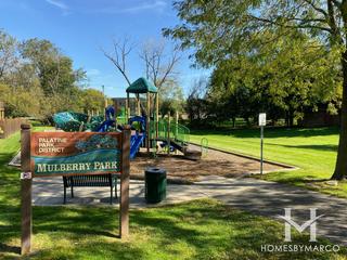Photos of Mulberry Park in Palatine, IL