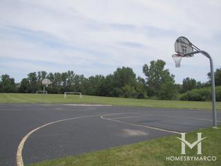 Hummingbird Park in Palatine, IL