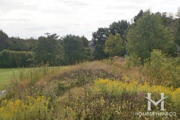 Birchwood South Park in Palatine, IL