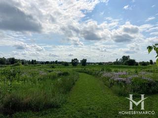 Community Park at Grande Park in Plainfield, IL