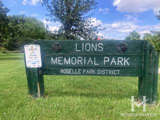 Photos of Lions Park in Roselle, IL