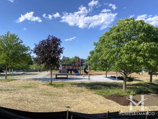 Odlum Park in Roselle, IL