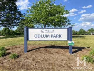 Photos of Odlum Park in Roselle, IL
