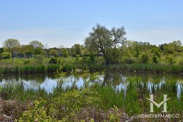 Park Saint Clair Conservation Area in Schaumburg, IL