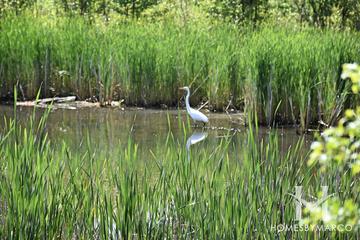 Park Saint Clair Conservation Area in Schaumburg, IL