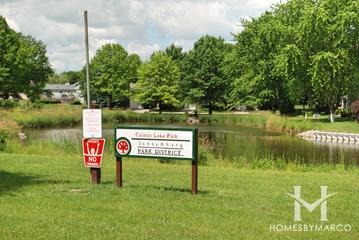 Photos of Colony Lake Park in Schaumburg, IL