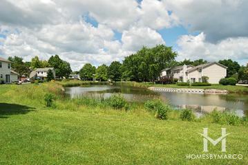 Colony Lake Park in Schaumburg, IL