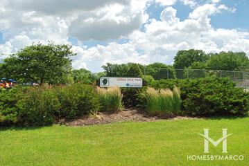 Photos of Salk Park in Schaumburg, IL