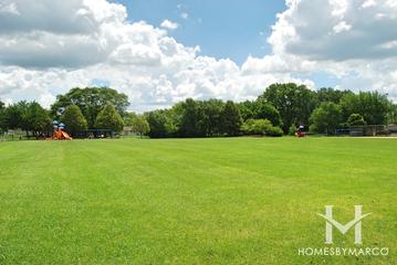 Salk Park in Schaumburg, IL