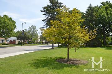 Oakton & Lorel Property in Skokie, IL