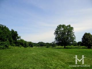 Poplar Creek Forest Preserve in Streamwood, IL