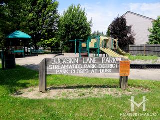 Photos of Buckskin Park in Streamwood, IL
