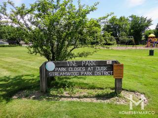 Photos of Vine Park in Streamwood, IL