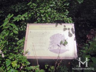 Marquette Woods Park in Streamwood, IL