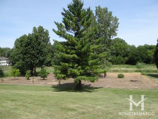 Photos of Tree Nursery Park in Streamwood, IL