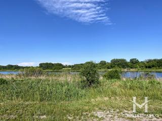 Van Patten Woods Forest Preserve in Wadsworth, IL