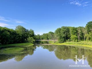 Van Patten Woods Forest Preserve in Wadsworth, IL