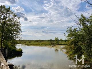 Wetlands Research Project in Wadsworth, IL