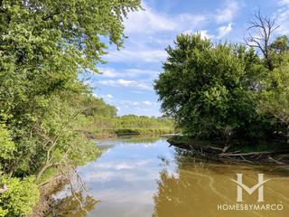 Wetlands Research Project in Wadsworth, IL