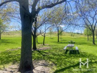 Blackwell Forest Preserve in Warrenville, IL