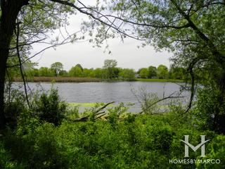 Lakewood Forest Preserve in Wauconda, IL