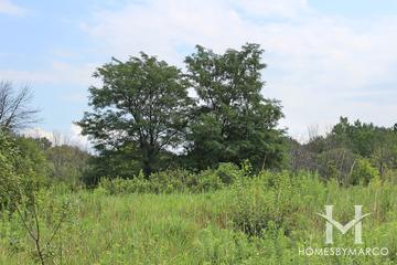 Danada Forest Preserve in Wheaton, IL
