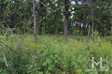 Belleau Woods Forest Preserve in Wheaton, IL