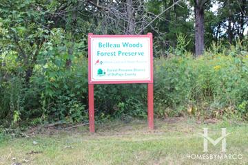 Photos of Belleau Woods Forest Preserve in Wheaton, IL
