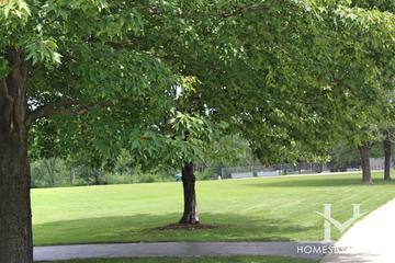 Briar Patch Park in Wheaton, IL