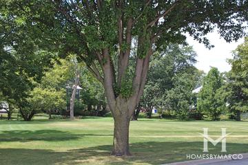 Central Athletic Complex in Wheaton, IL