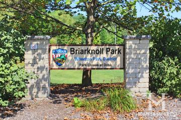 Photos of Briar Knoll Park in Wheaton, IL