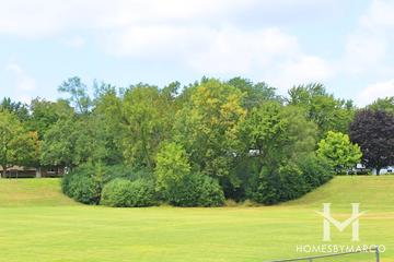 Presidents Park in Wheaton, IL