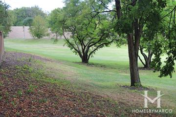 Dorset Park in Wheaton, IL