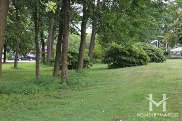 Roosevelt & Hazelton Park in Wheaton, IL